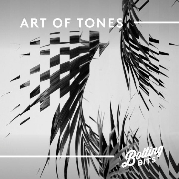 MIXED BY/ Art Of Tones