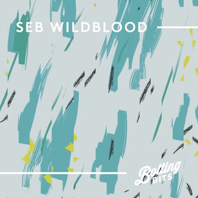 MIXED BY seb wildblood