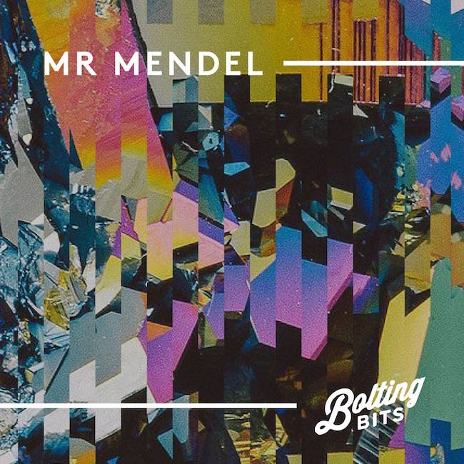 MIXED BY Mr Mendel cover