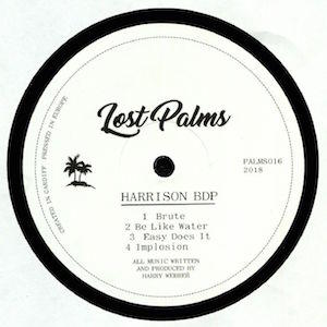 lost palms - harrison BDP