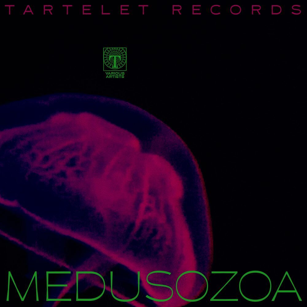 Medusozoa_Front