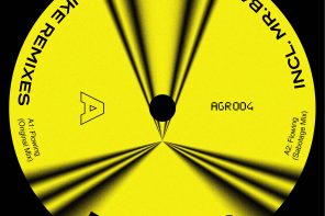 PACKSHOT David Agrella - Flowing (incl. Ben Hauke & Mr Barcode Remixes) - Agrellomatica Records
