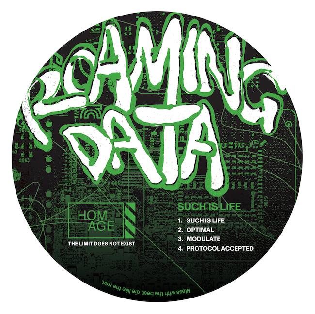 Roaming Data – Such Is Life [Homage]