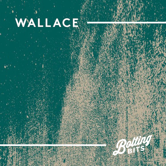 MIXED BY/ Wallace