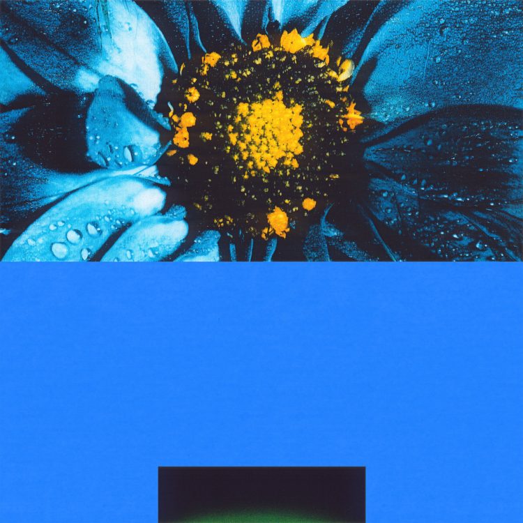 Pangaea – Leaches [Power Station]