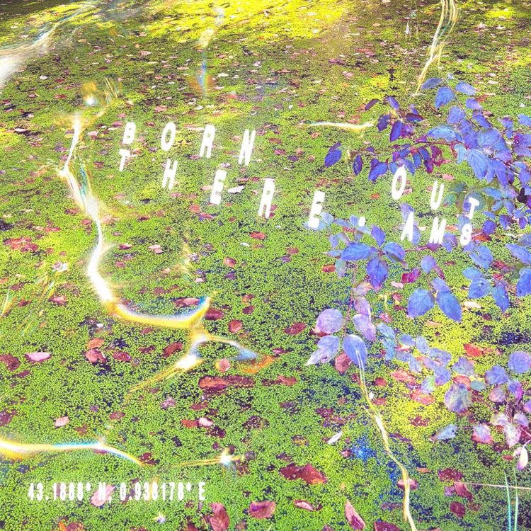 Ams – PWNS (Pyrenean Water Never Sleeps)