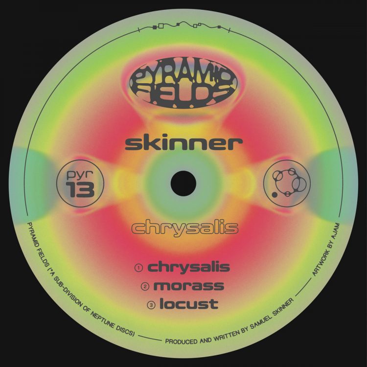 Skinner – Locust [Pyramid Fields]