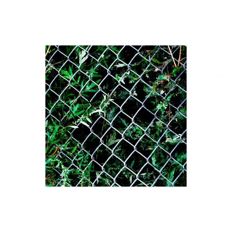 504 Aquatic – Seraphim [kshack]