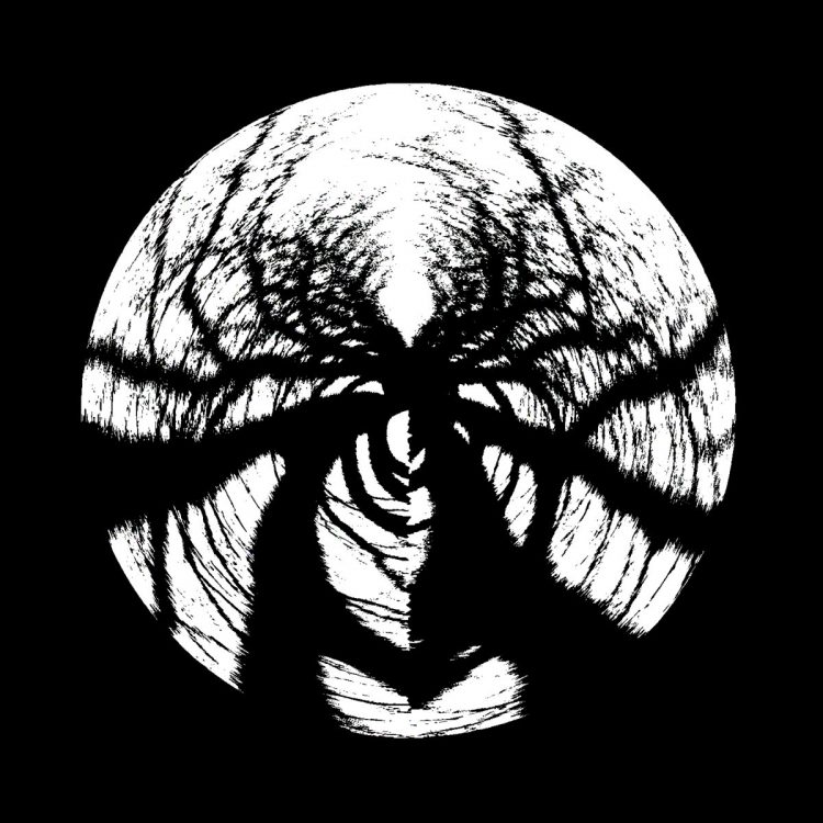 Phasmid – The Archetype [Taipan Trax]