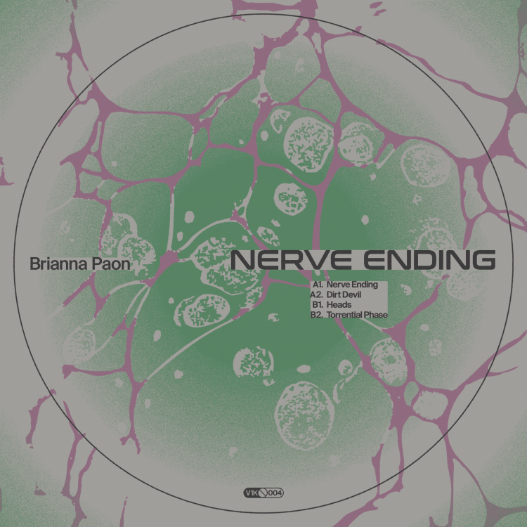 Brianna Paon – Torrential Phase [Vitamin1000 Recordings]