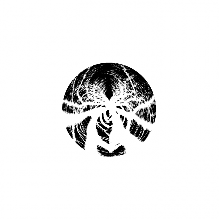 Phasmid – Lost Cause (Elbarto Remix)